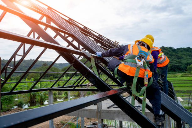 Best Storm Damage Roof Repair  in Williamston, NC