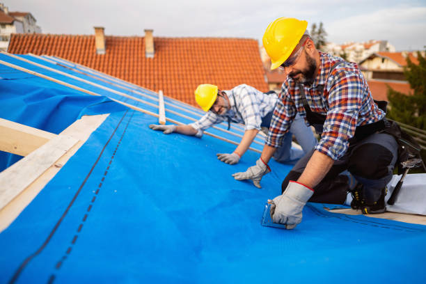 Best Metal Roofing Contractor  in Williamston, NC