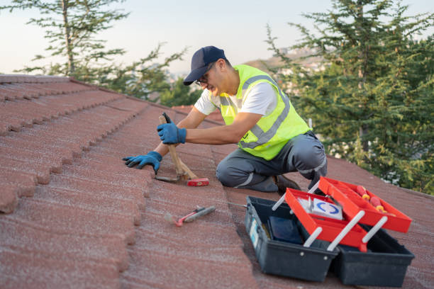 Best Flat Roof Repair Services  in Williamston, NC